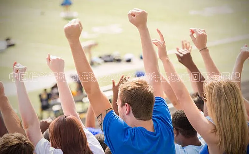 万向娱乐平台视觉中国中国信鸽运动的璀璨之夜：2023年度赛事回顾与展望