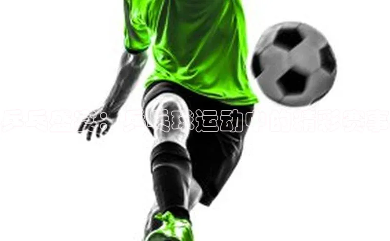 乒乓盛宴：乒乓球运动中的精彩赛事