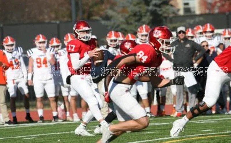 热带风暴与激情碰撞：海南体育运动的精彩赛事篇章