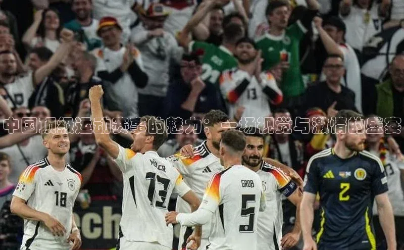 中国顶级运动赛事的魅力：一场视觉与激情的盛宴