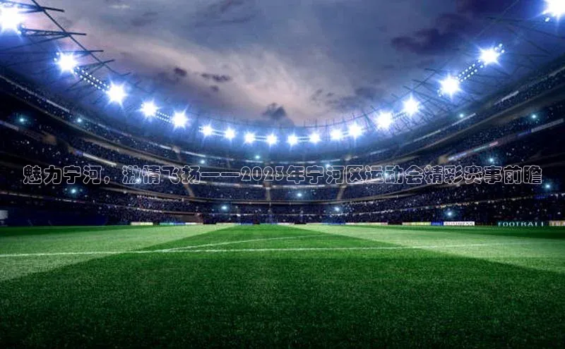 魅力宁河，激情飞扬——2023年宁河区运动会精彩赛事前瞻