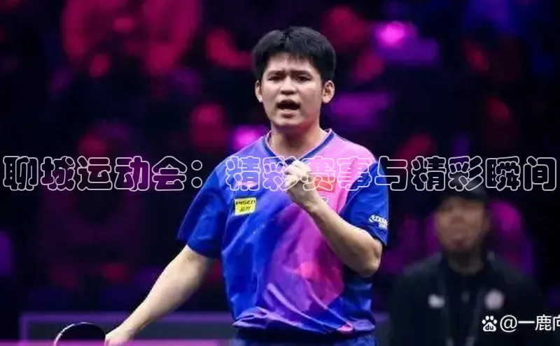 聊城运动会：精彩赛事与精彩瞬间