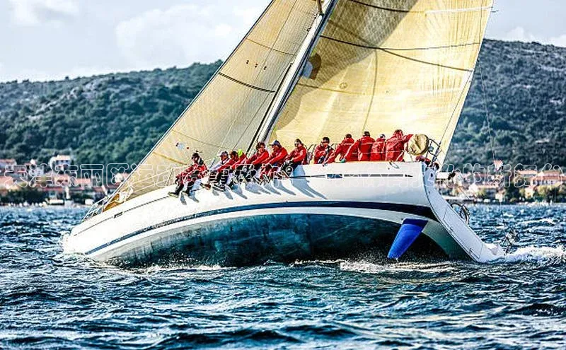 天津东丽区运动赛事承办：未来体育文化的新舞台