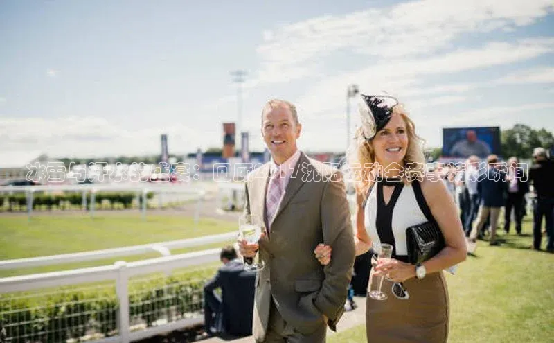 冰雪与汗水的盛宴：回顾2017沈阳运动会赛事精彩瞬间