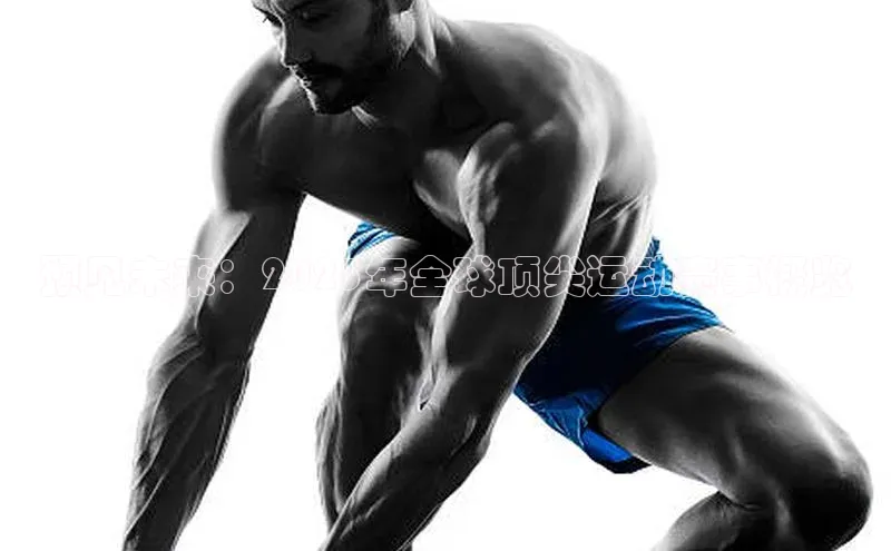 预见未来：2025年全球顶尖运动赛事概览