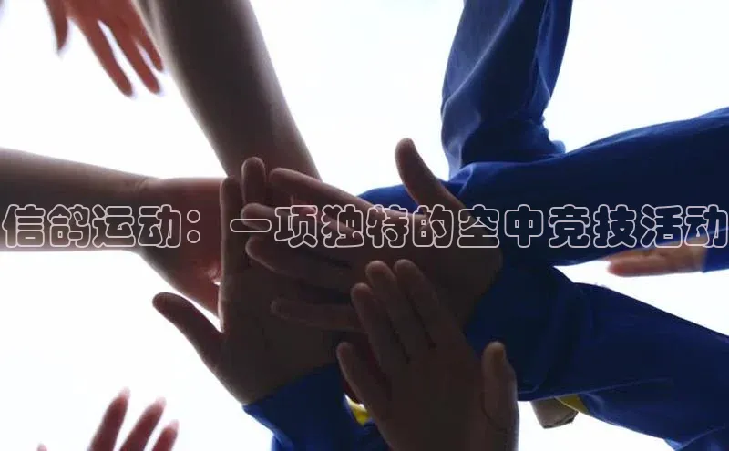 万向娱乐平台官网入口