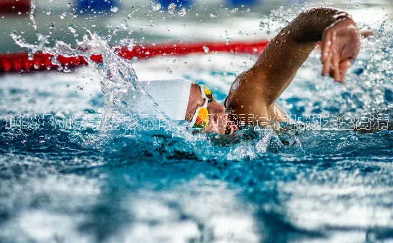 万向娱乐平台登录