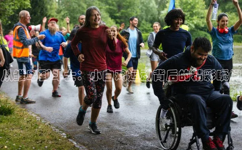 万向娱乐平台官网入口