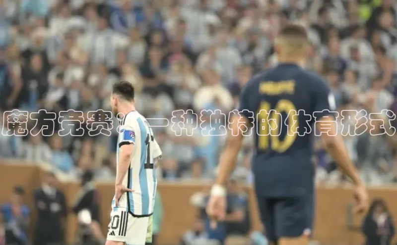 万向娱乐app官网下载